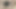 Üniversite öğretmeninin videosu