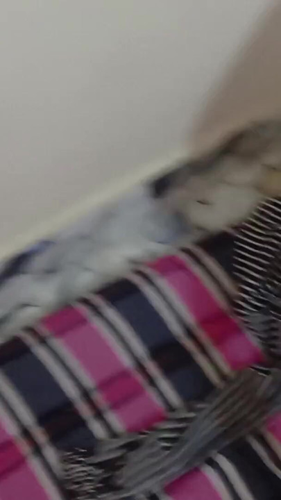 Bangladeshi girlfriend real fuck with boyfriend | Clip 1