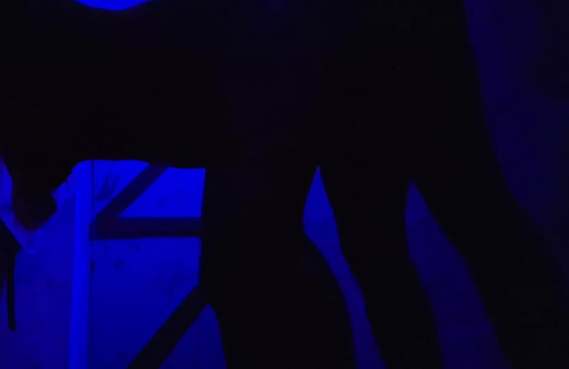 Sex XXX Video Desi Girls