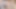 Hintli komşu - arkadaşımın karısı seksi bir video yapıyor 41
