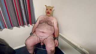 Stăpâna Satana este rasă în timp ce piggy se uită!