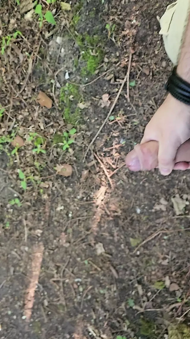 Second cumshot in forest