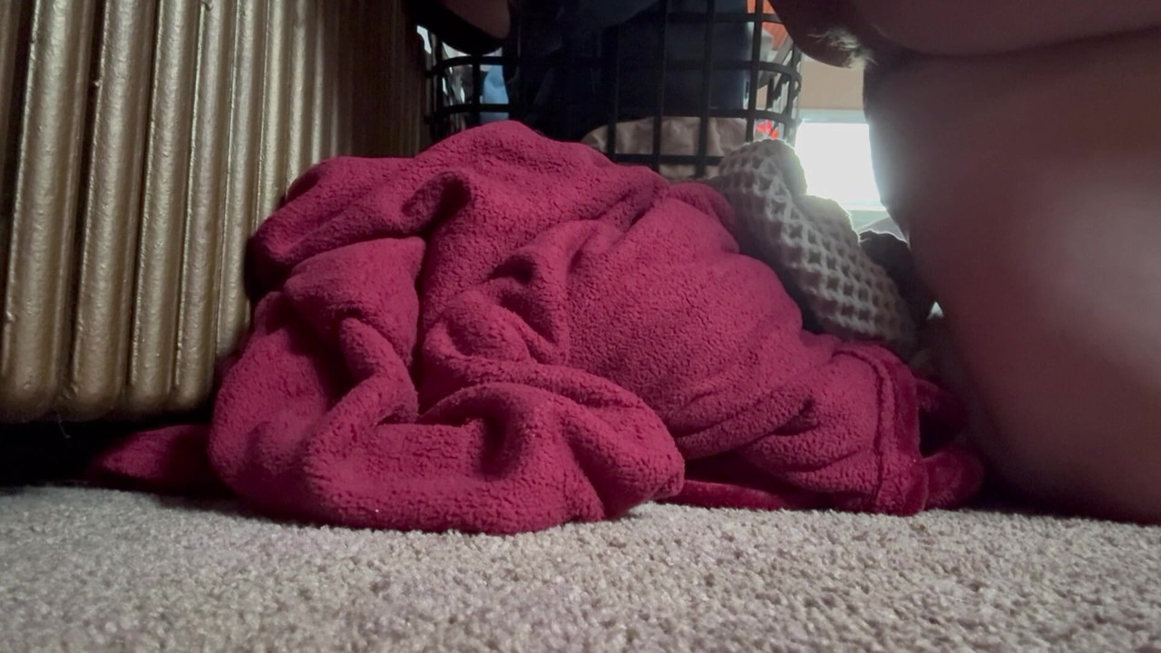 Böses mädchen, das ihr gebiet auf Revier mit natursekt markiert