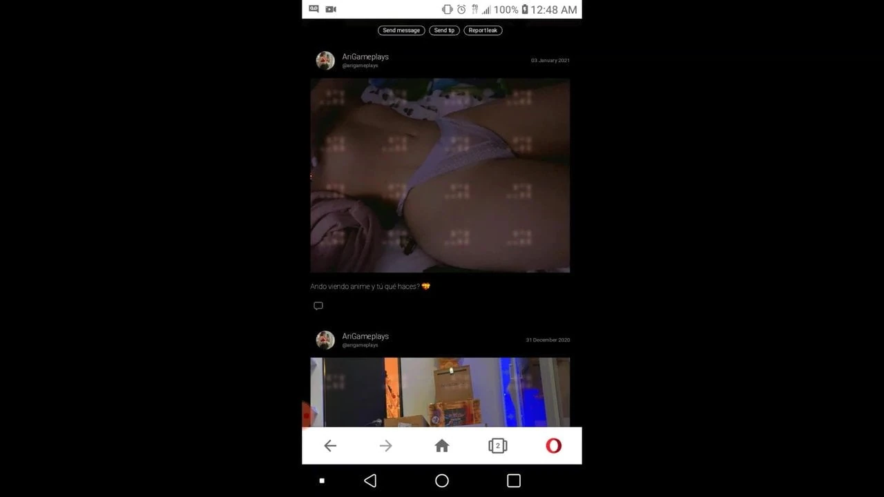Arigameplays 1月のミプリヴの投稿new