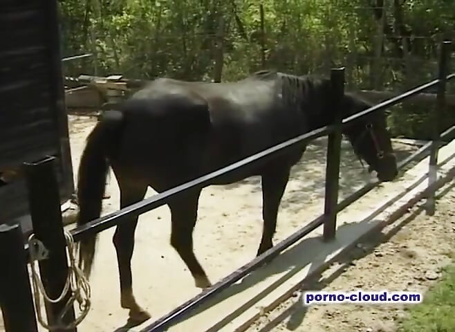 Grannys summer fuck - DVD