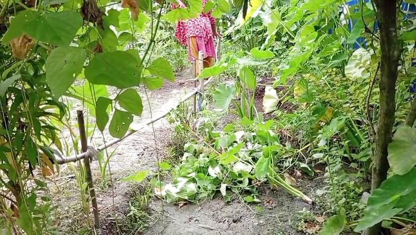Lawatan rumah Apu panas bertukar menjadi sudut pandangan pertama kongkek sengit Bangla