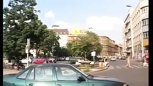 Göğüs raporu - dvd