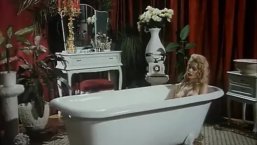 Mutlu bir dul - cilt. #01