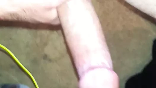 Phildabasa