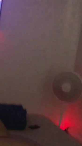 Spektakulärer moment von "Sneaky Link"