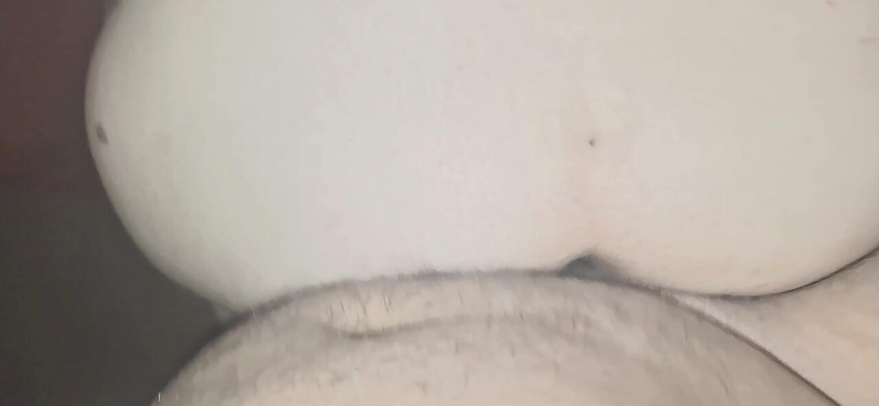of a puppy