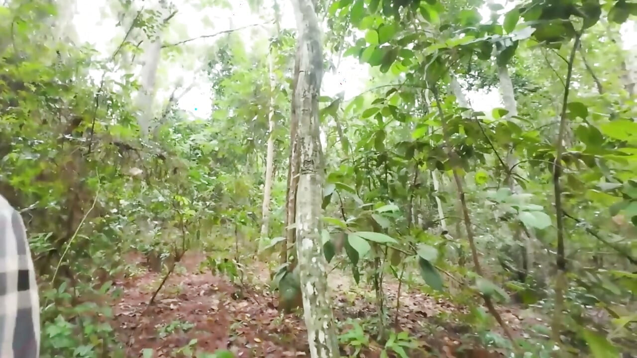 Thai Teenager Walks around Picking Mushrooms and Gets Fucked in the Pussy. Thai Audio