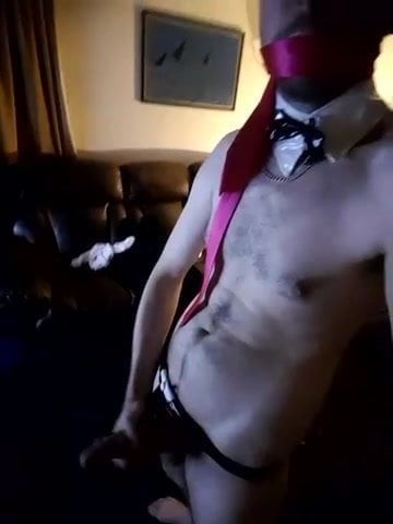 Solo Collar