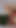 Spectacular moment from "Rajesthani Wife And Big Cock Truck Driver Sex Video Full Hindi Story Clear Audio"