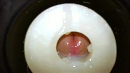 Filling Wildhoney's throat twice