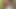 私のInstagramをフォロー