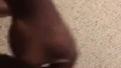 Büyük zenci yarağım