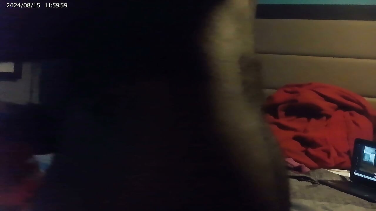 Getting that Pusy Homemade Couple Hot Fuck