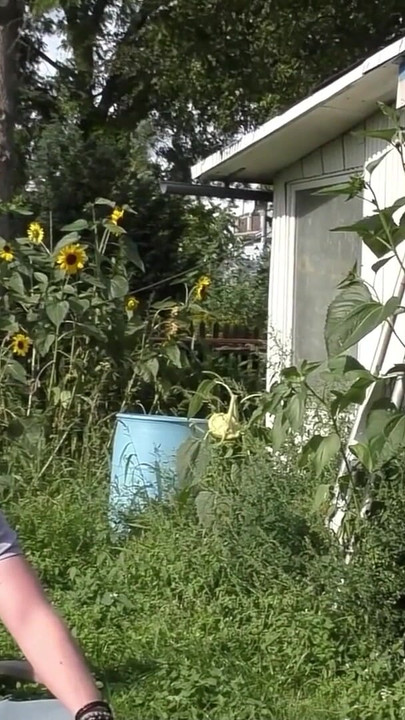 Iconic moment from "Real Outdoor Garden Gangbang with Big Boobs German Mature Dacada and Strangers"