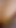 ルームメイトがティーント少女のチクトク撮影を妨げる。 | クリップ 2