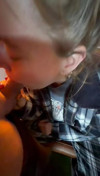 Pratinjau video