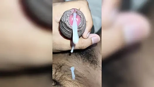 Sabah büyük bir döl boşaltıyor