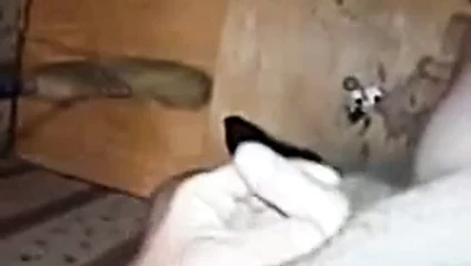 işte birkaçı