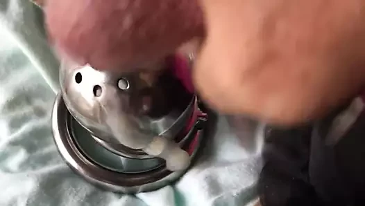 Chastity cage wank