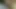 Harika anlar içinde bbw asılı baştankara oral seks 1