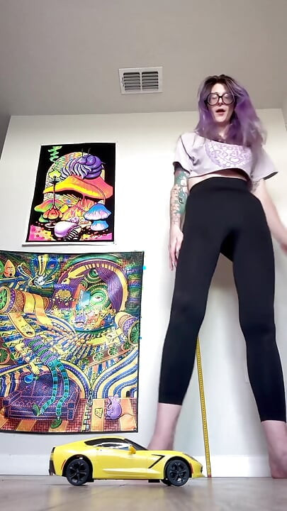 Je défonce une voiture modèle avec ma taille 16 pieds