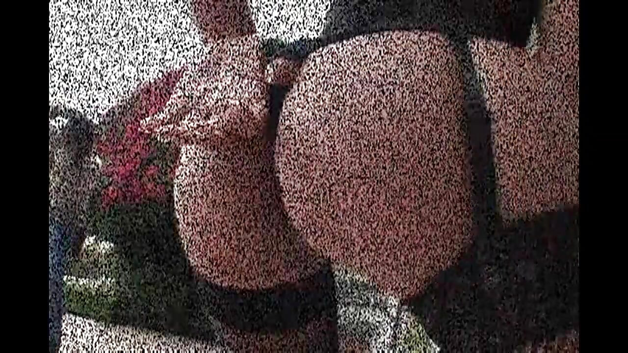 LEXINGTON LOVES LATINAS 1 - vol 02 (Full Movie)