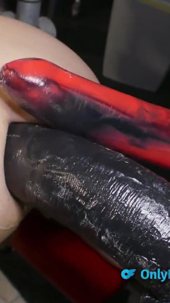 Pregled videozapisa