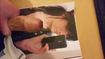 Suitor 7's Tribute to VanillaFox95 1
