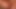 変態の女の子がアナルを舐めながら、友人がチンコをしゃぶっている