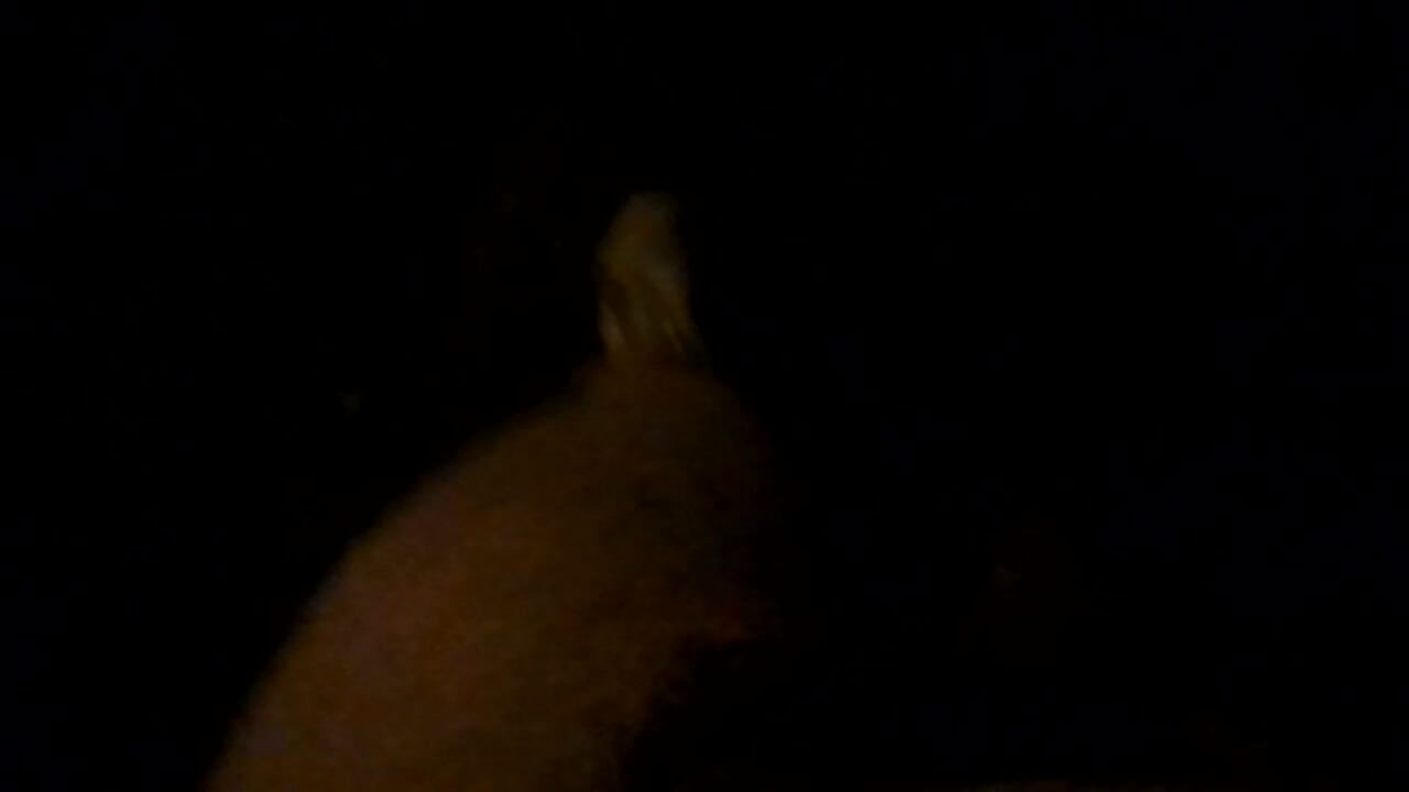 Naakt op de weg voor het verkeer 's nachts