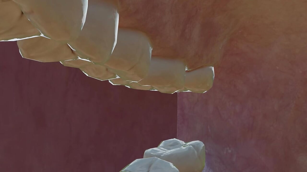 giantess