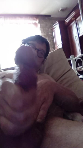 Pregled videozapisa