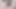latex suite ladyboy cumshot