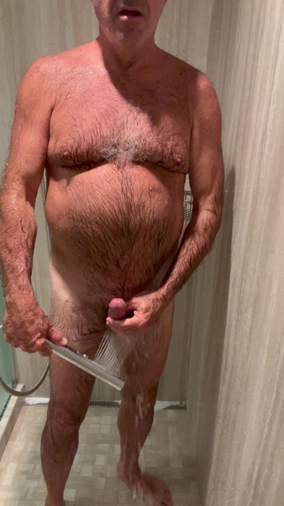 Shower hand held
