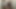Stripper get is ass licked and worship