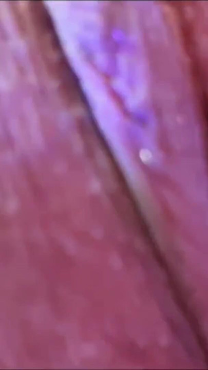 Momento clave de "Mi dulce coño esta muy mojado"