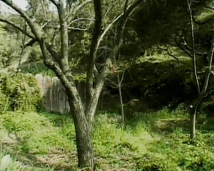 Tettona francese succhia il cazzo e lo cavalca come un professionista