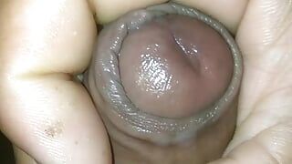 Erotyczny masaż penisa kogutów