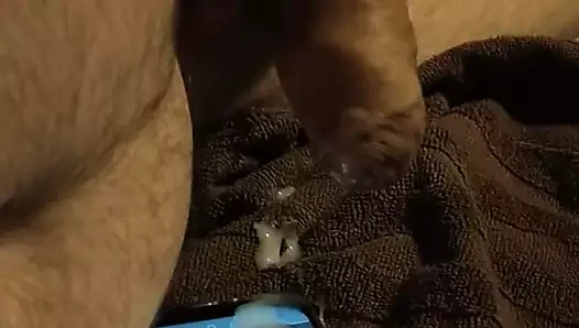 Güzel fırın oyuncak bir dik kedi