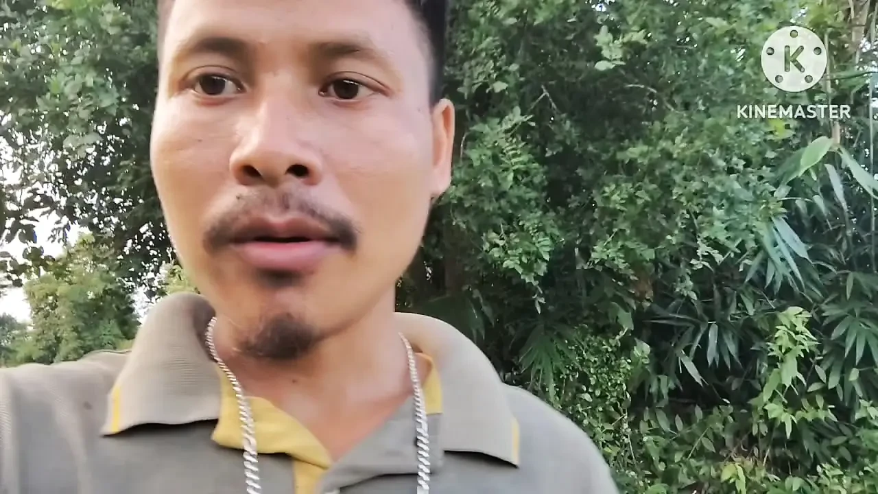 Jungle ka under mein ghumne ja raha hai