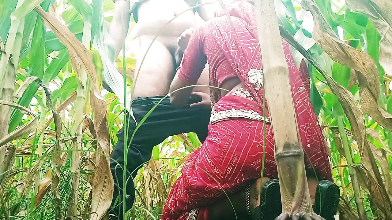 Sister-in-law sucked cock in the field and fucked hard