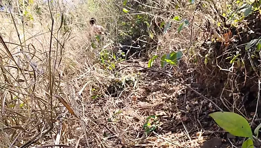 I Fucked My Old Girlfriend in the Forest