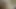 Brazilian Amateur Dark Skinned Amazon Fucking