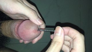 Wstawianie pałeczek do cewki moczowej
