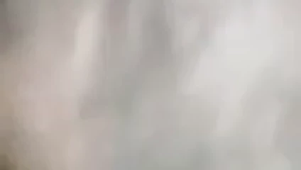 Ayı dölümü yutuyor